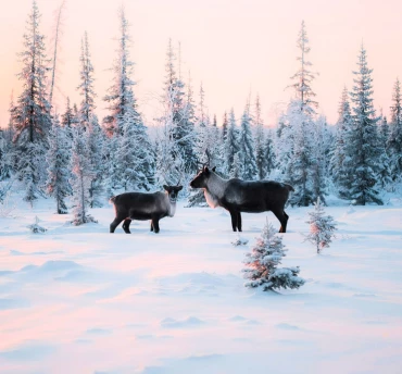vt-blokken%20370x3440-aanbiedingen