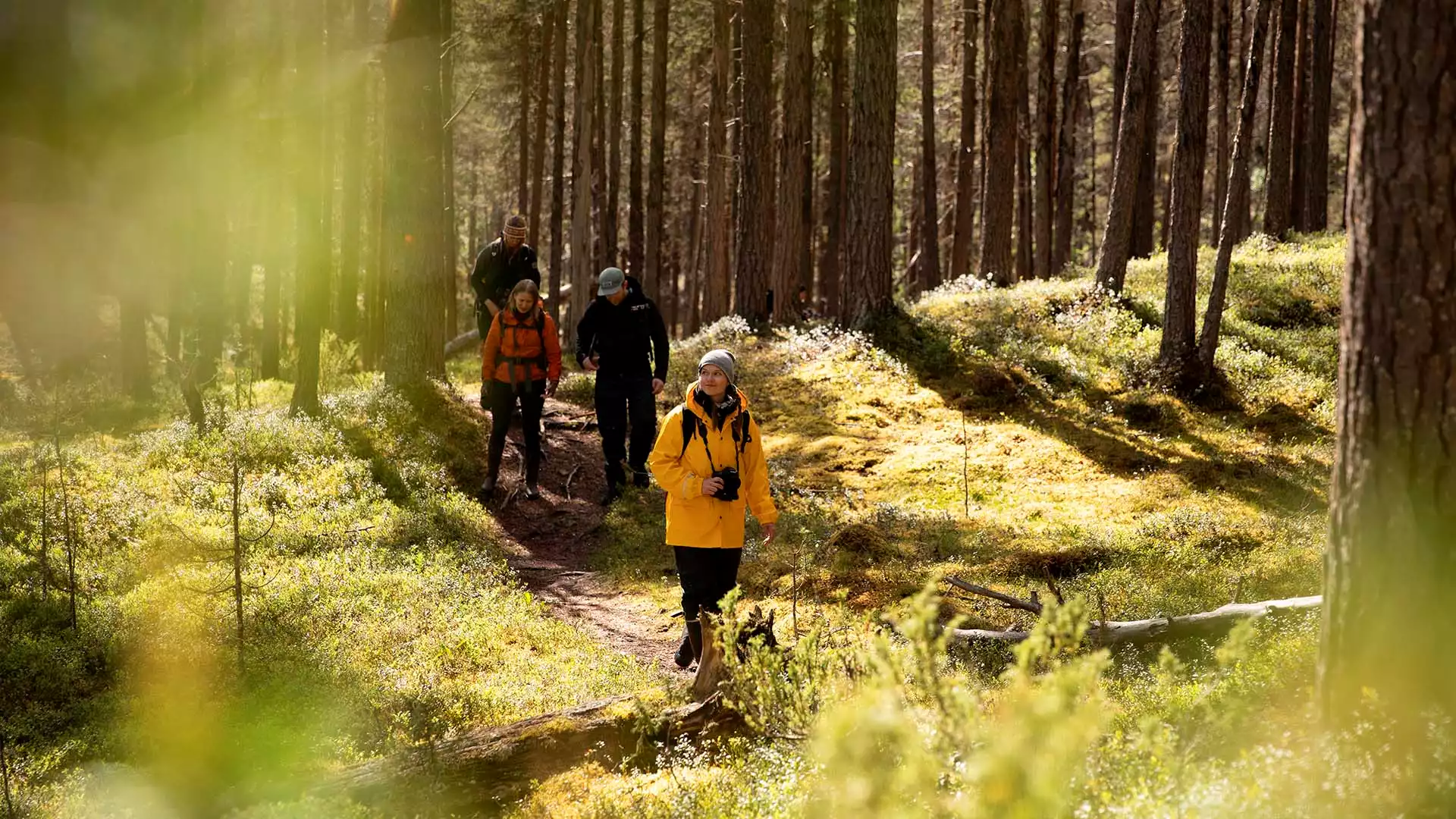 Verken nationaal park Urho Kekkonen