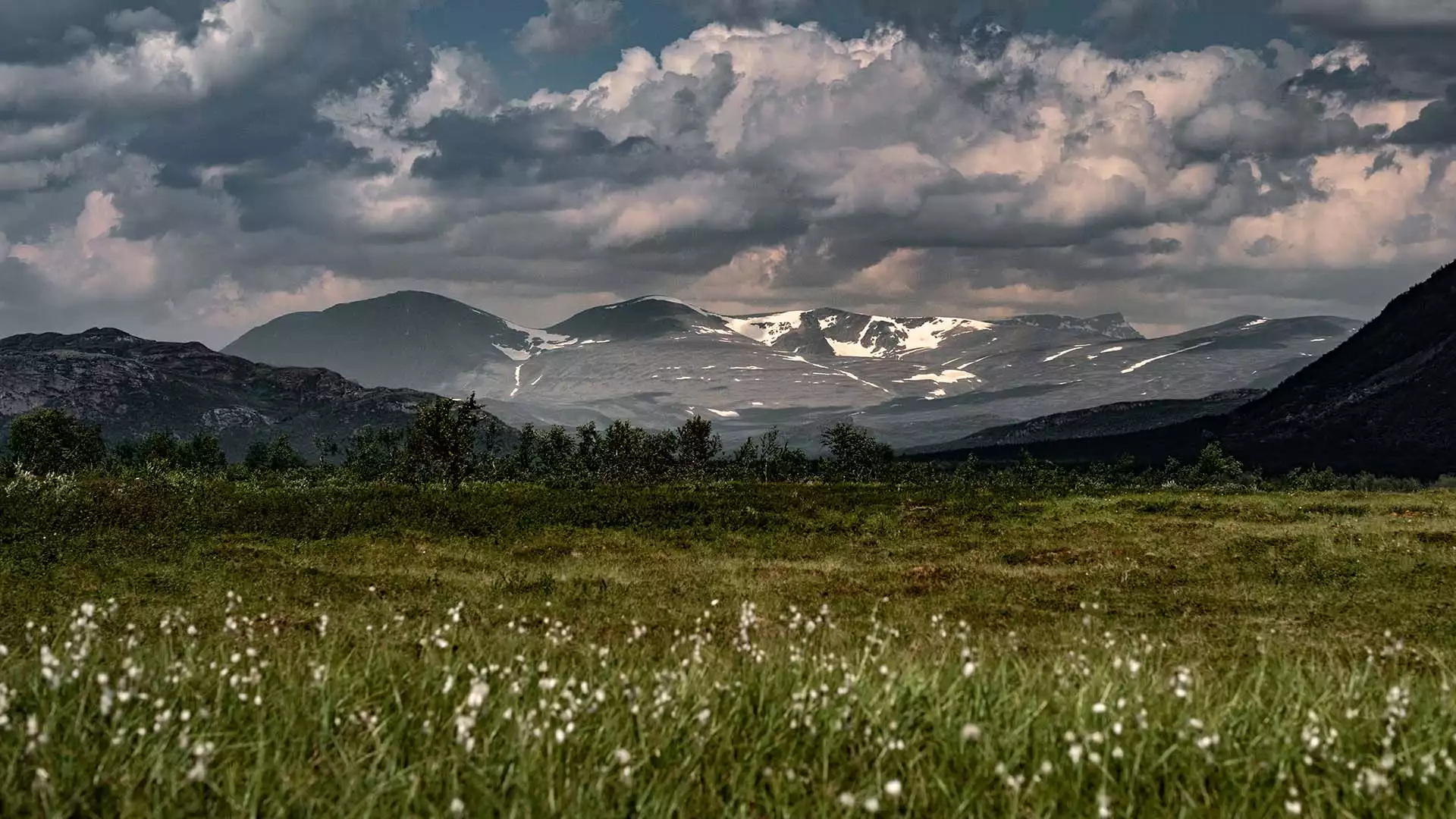 Via Abisko Nationaal Park naar Noorwegen 