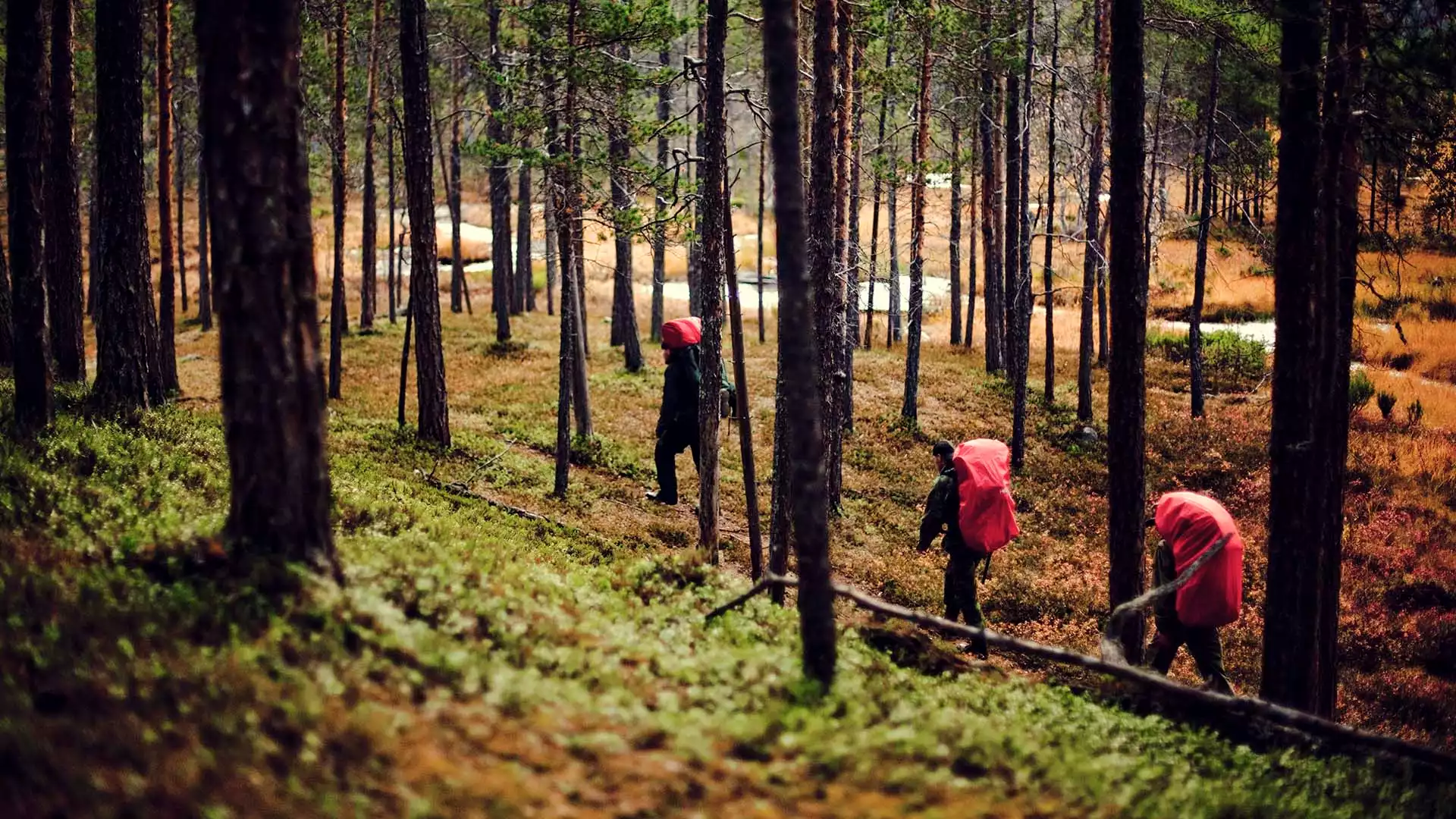 Wandelen door nationaal park Urho Kekkonen