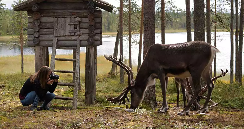 Welkom in Lapland!