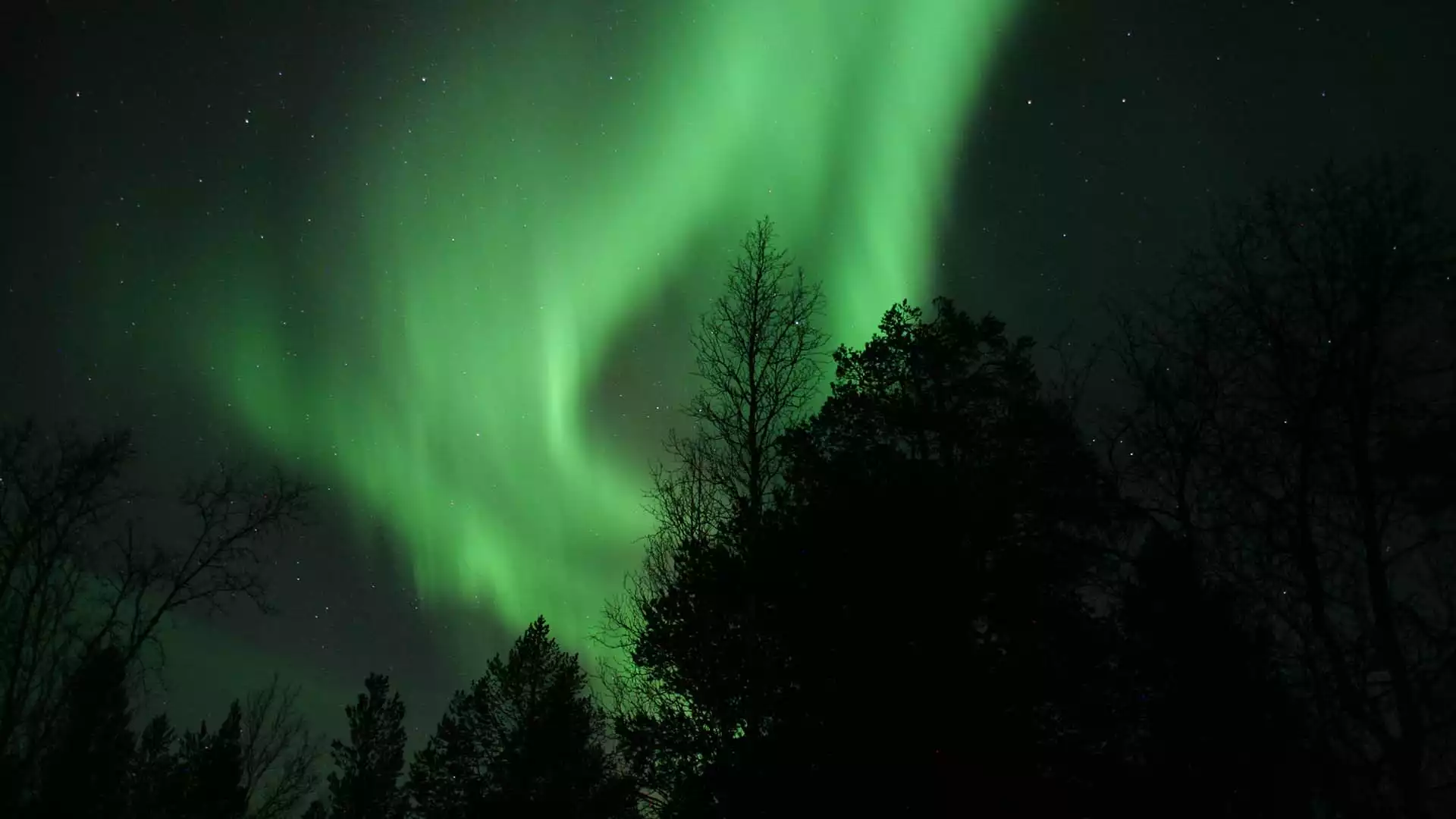 Omgeving verkennen en terug naar Finland