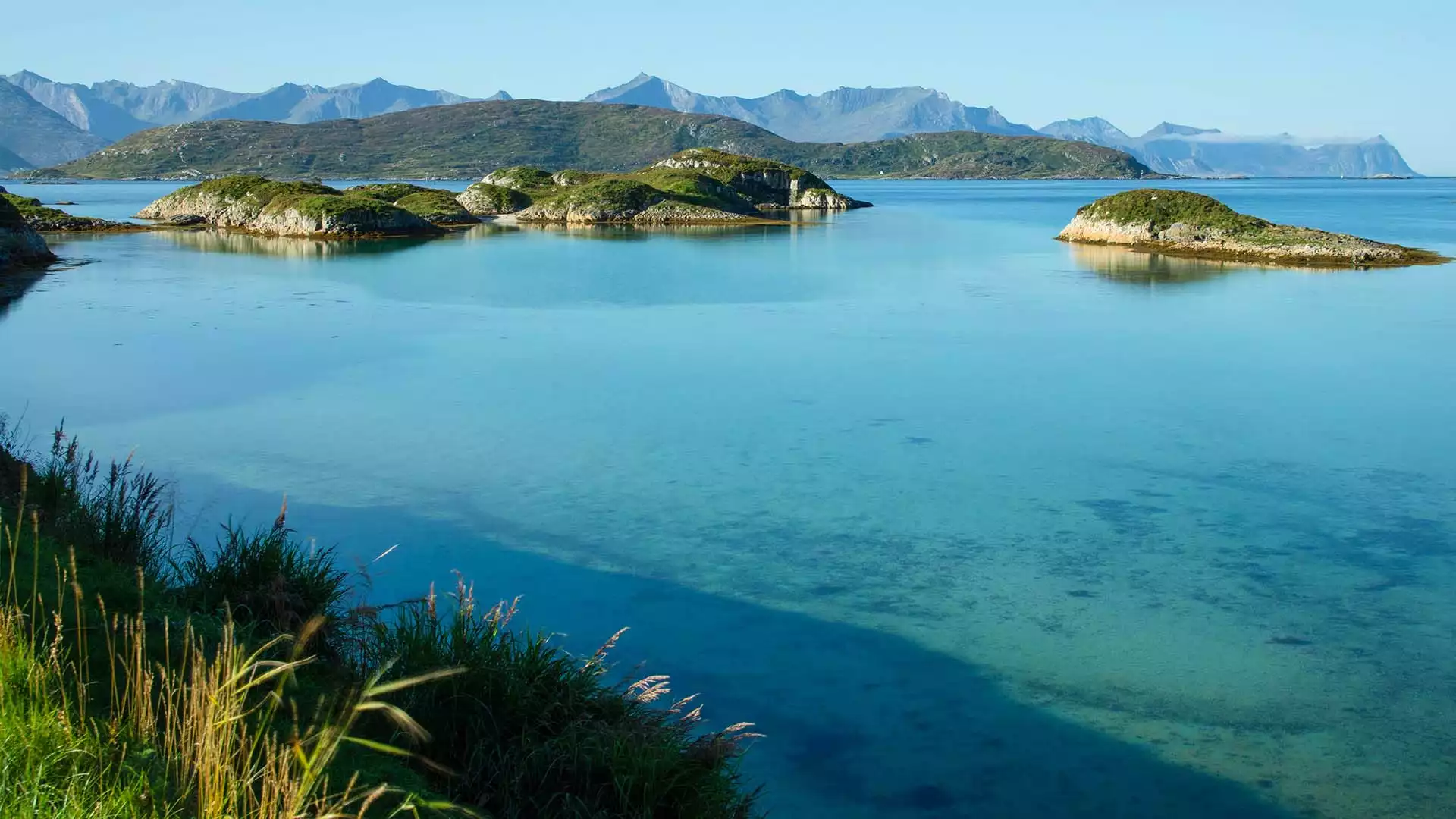 Verken Sommarøy per kajak