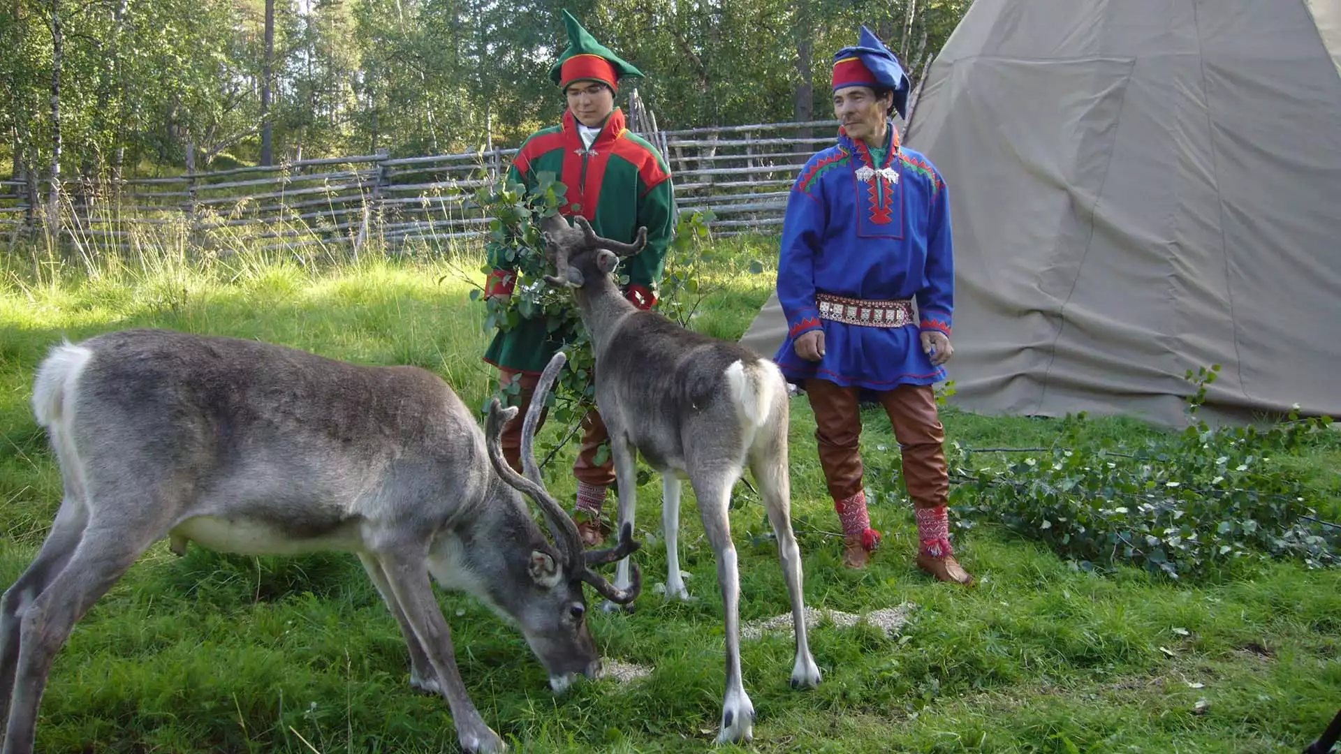 Een dag als gast van Sami familie Paltto