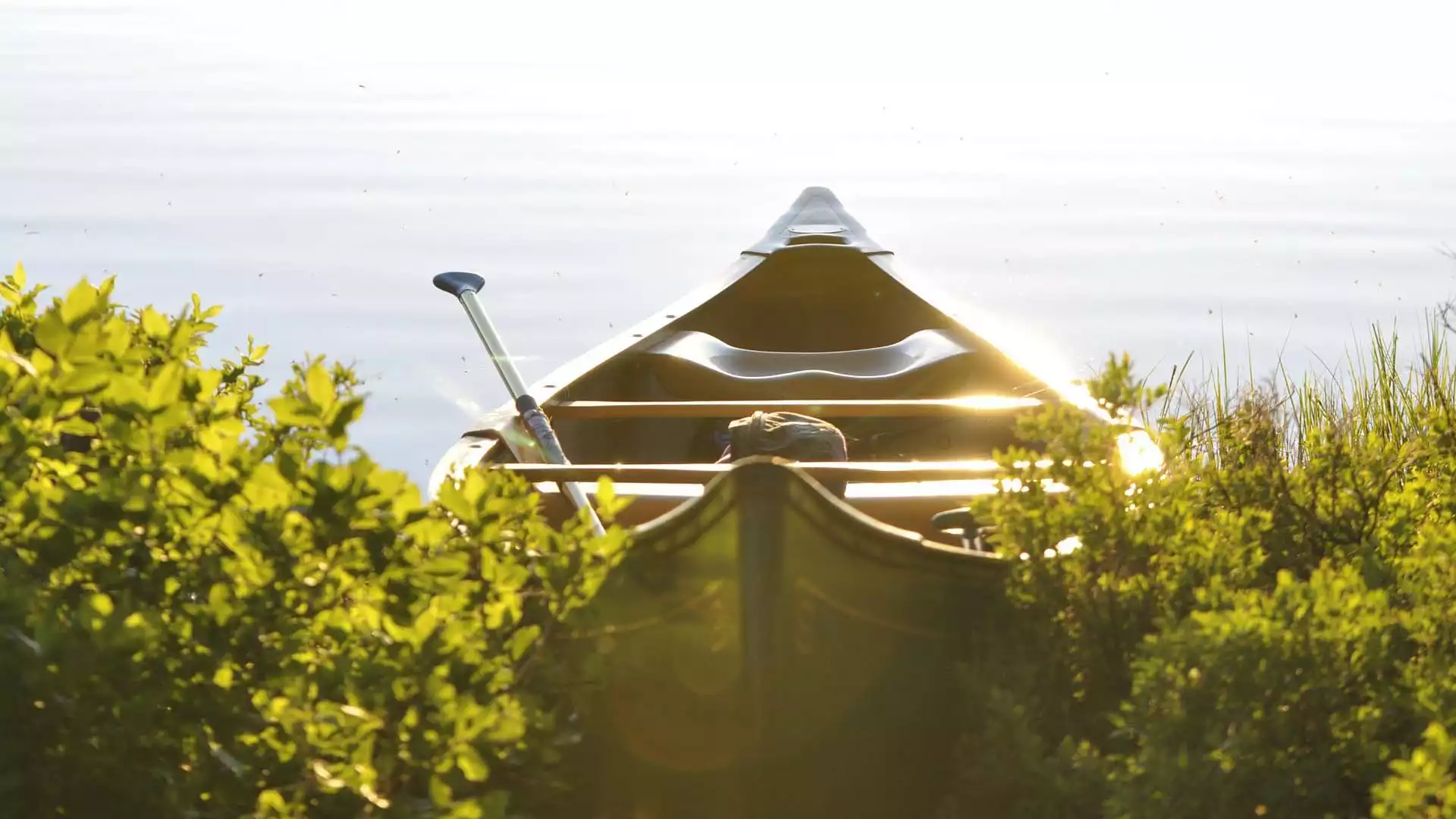 Ontdek de natuur vanaf het water