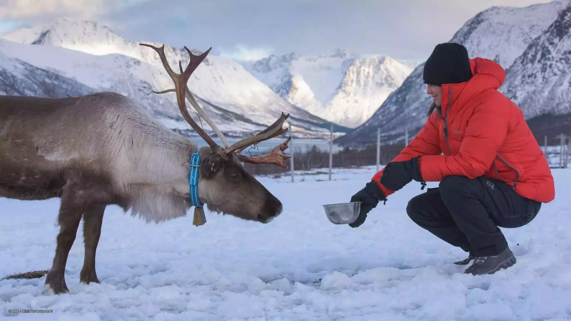 Tromsø