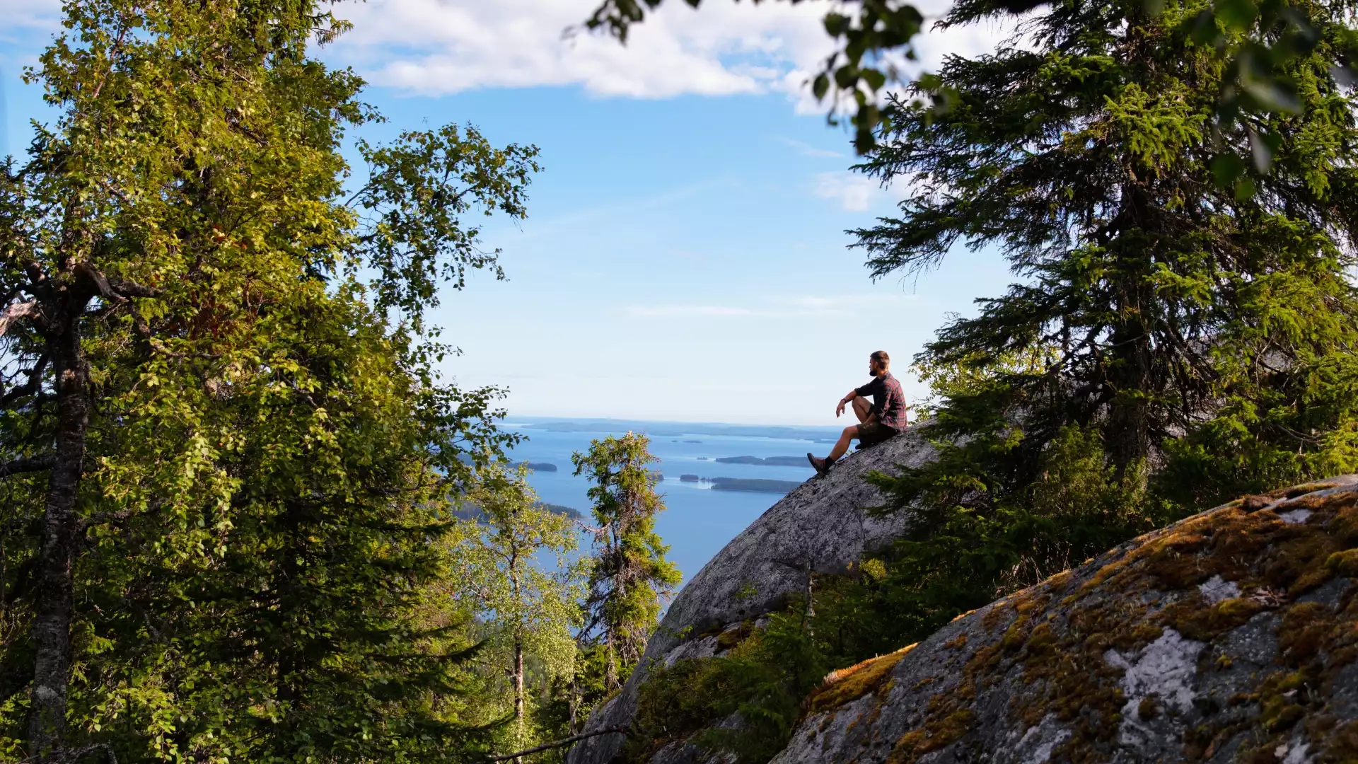 Koli