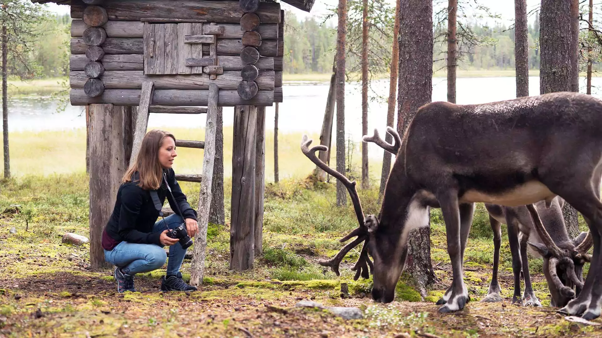 Naar Salla Wilderness Park