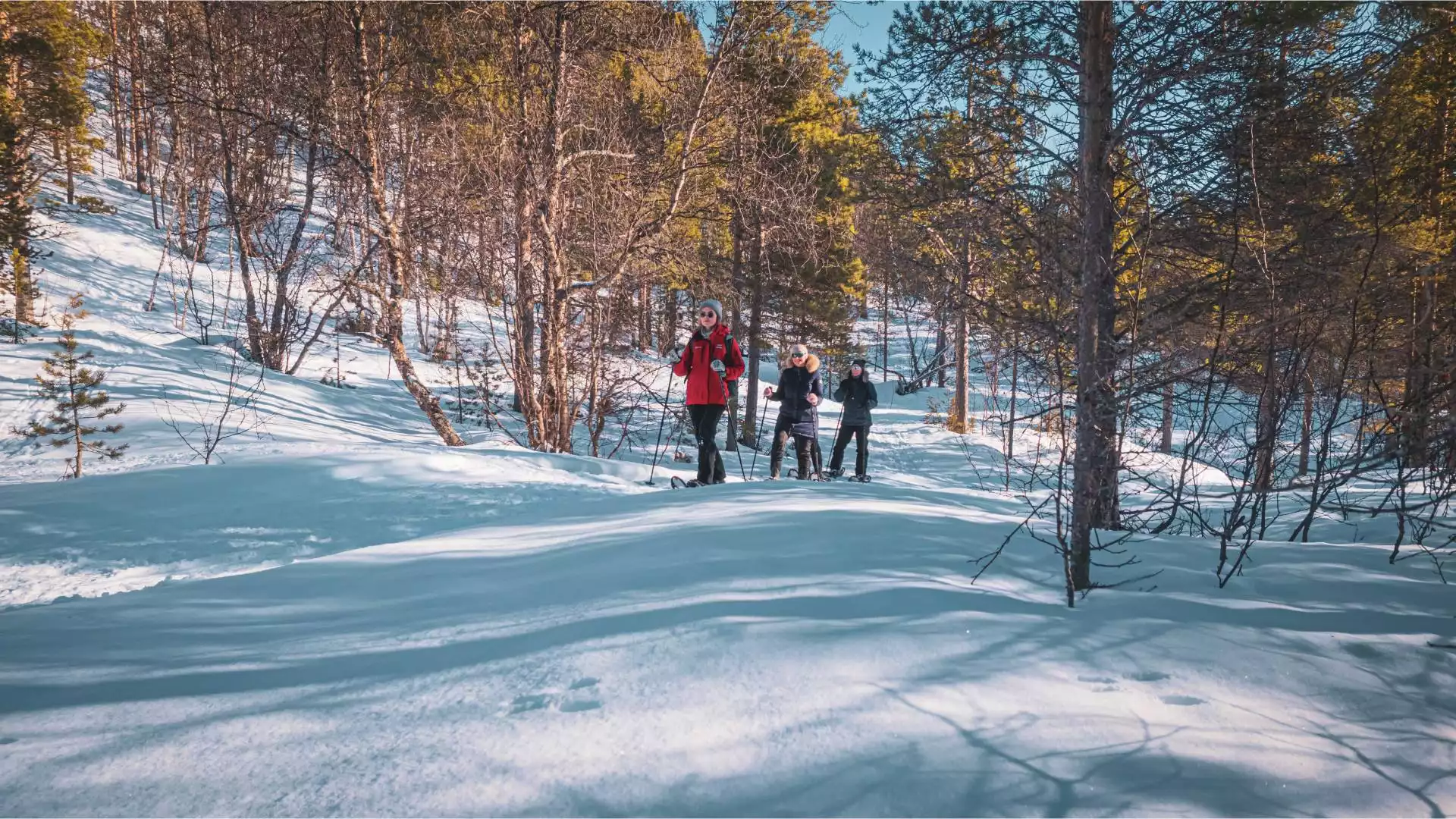 Sneeuwschoenwandelen naar de Orvvos waterval