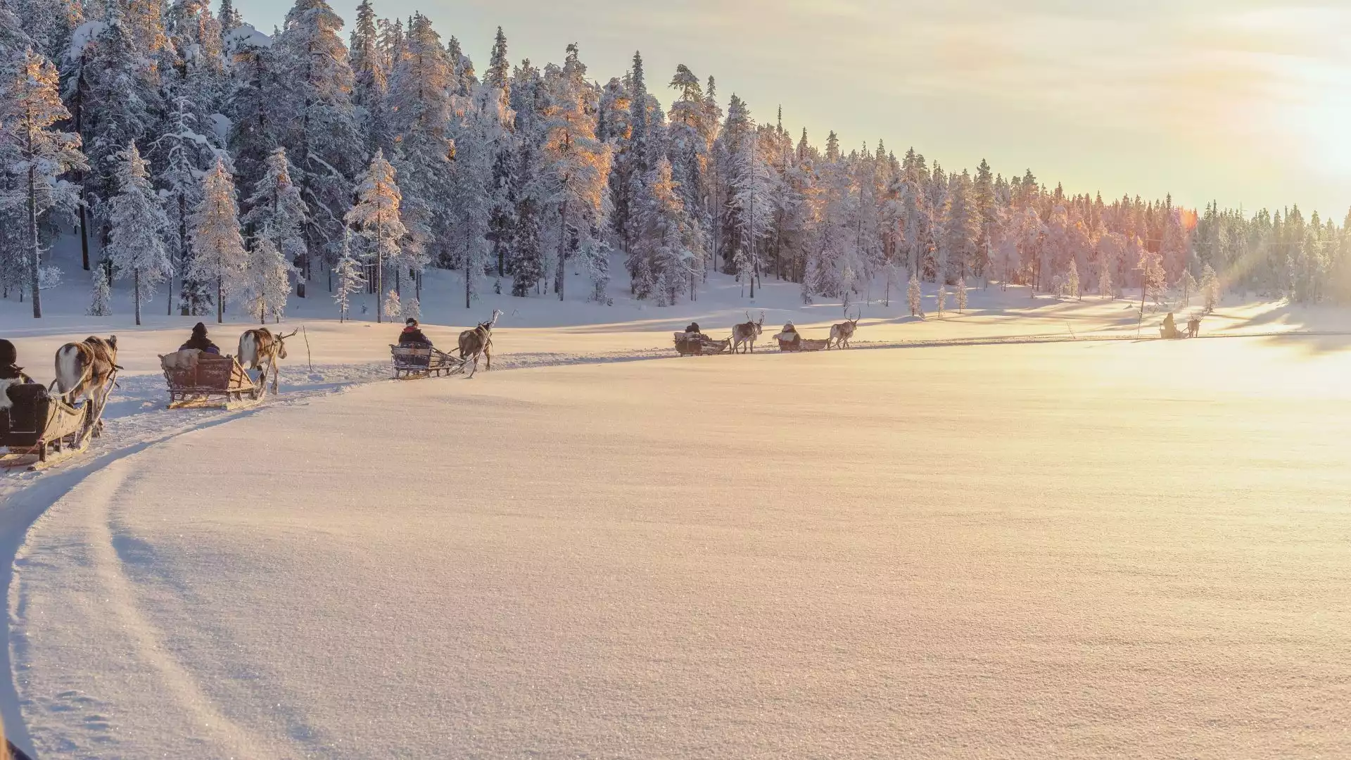 Winterwonderland in Salla