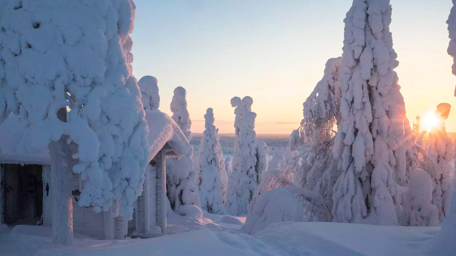 De laatste dag in Lapland