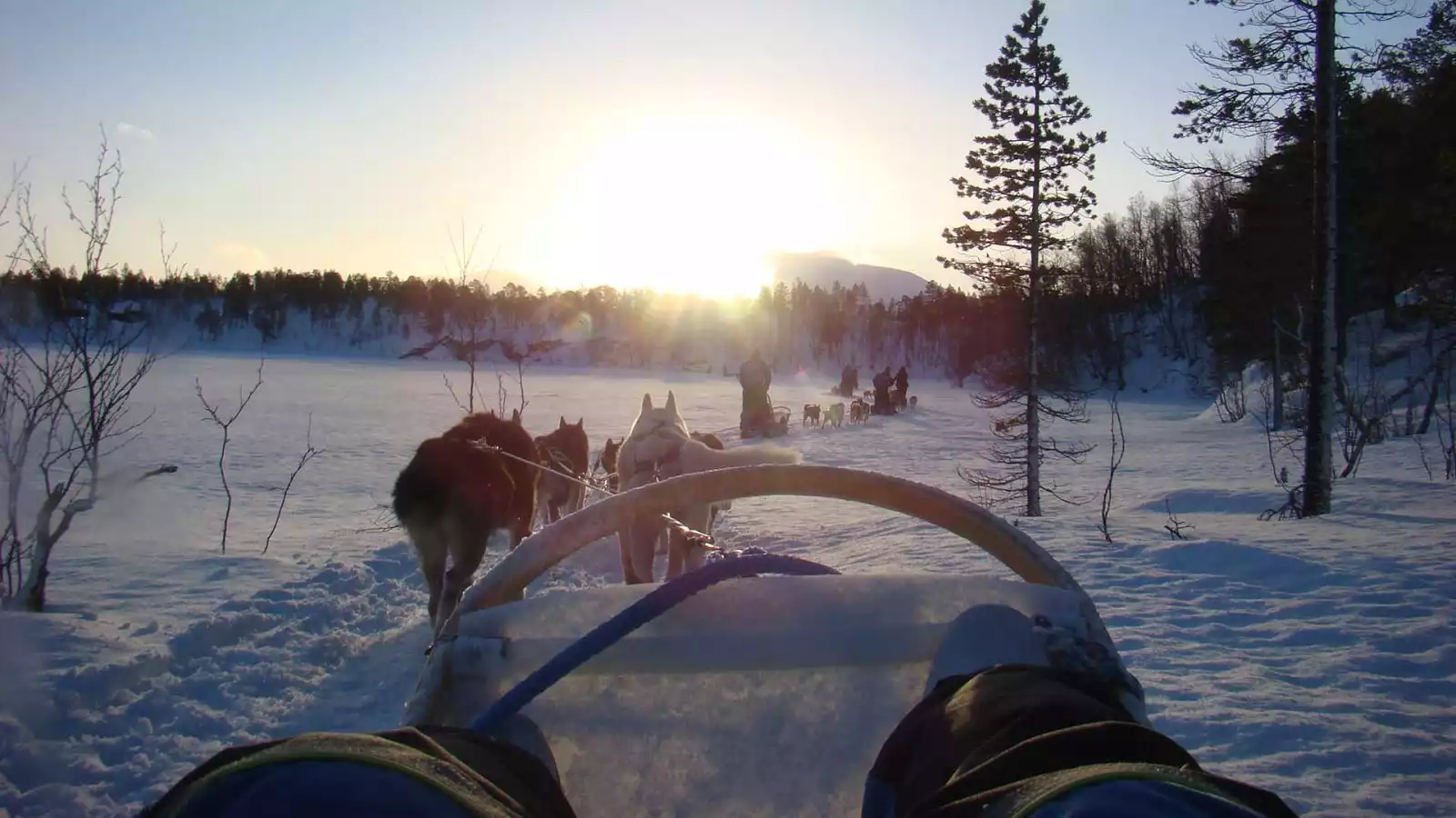 Op pad met de husky's