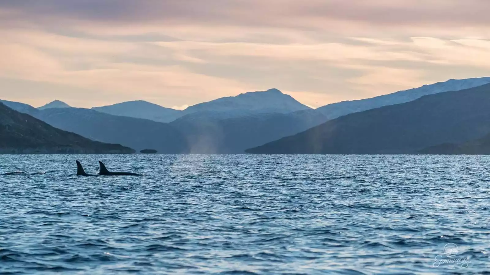 Tromsø ontdekken