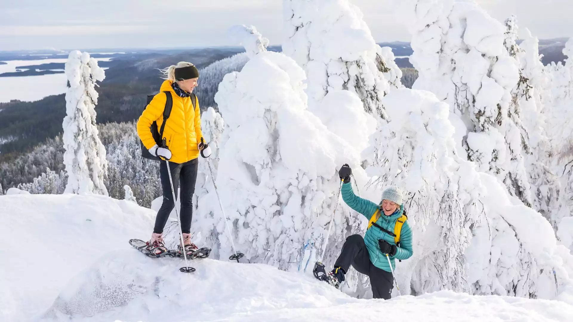 Winterse wonderen in Koli