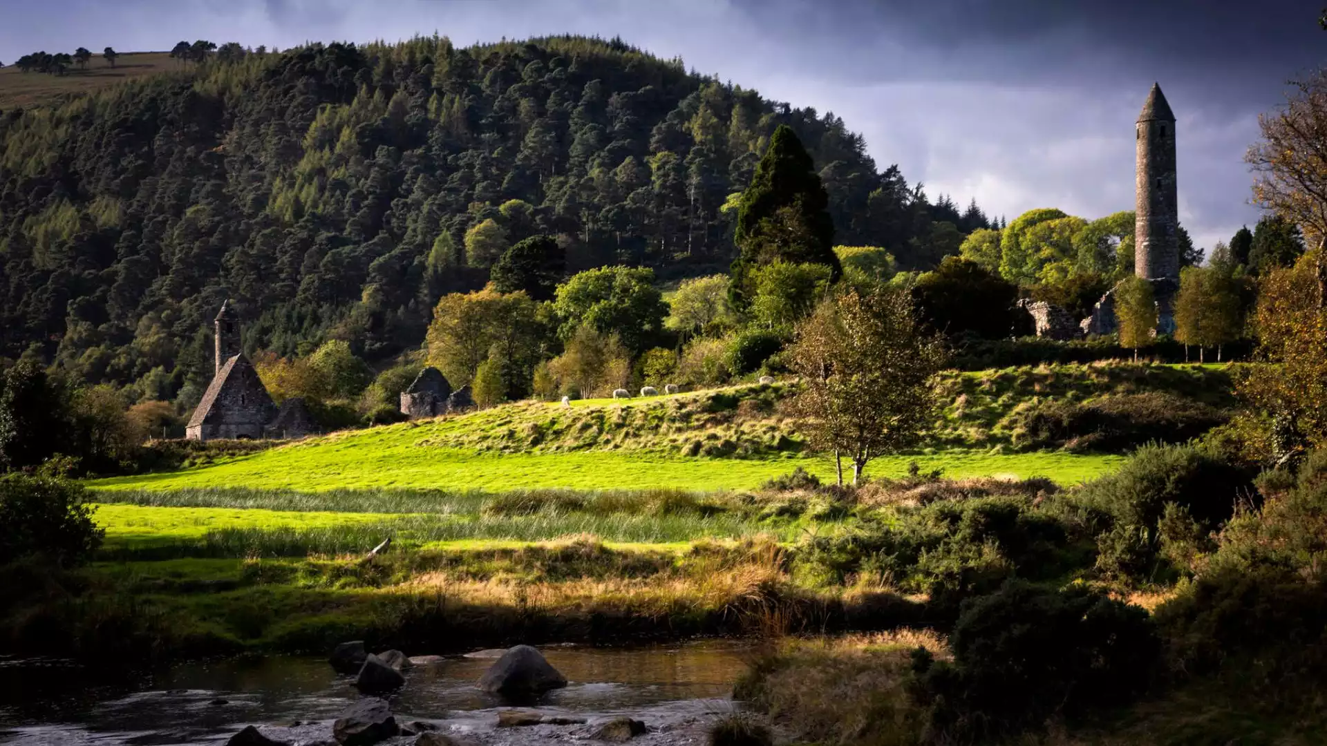 Ontdek de Wicklow mountains