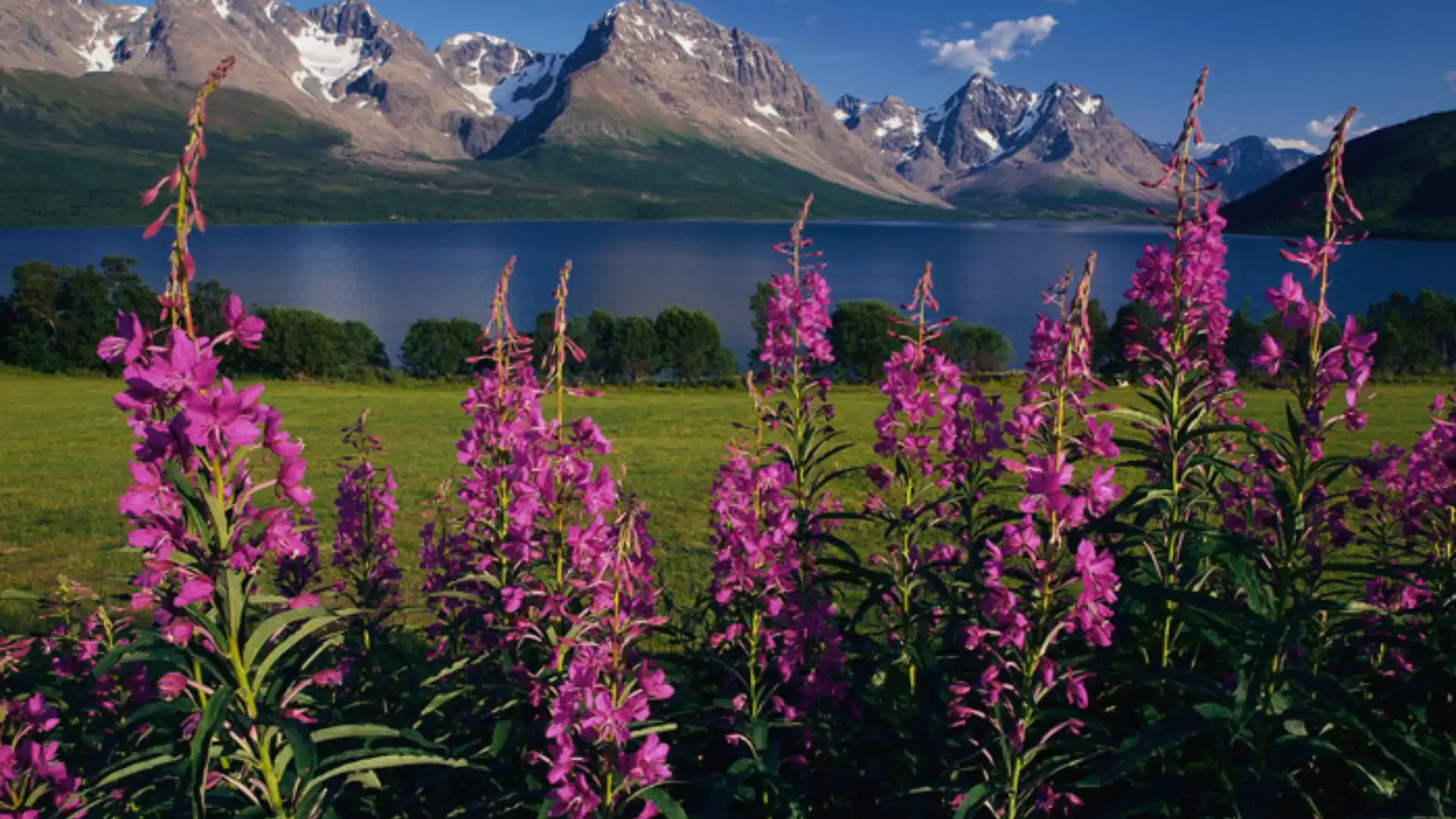 Naar de imposante Lyngen Alpen