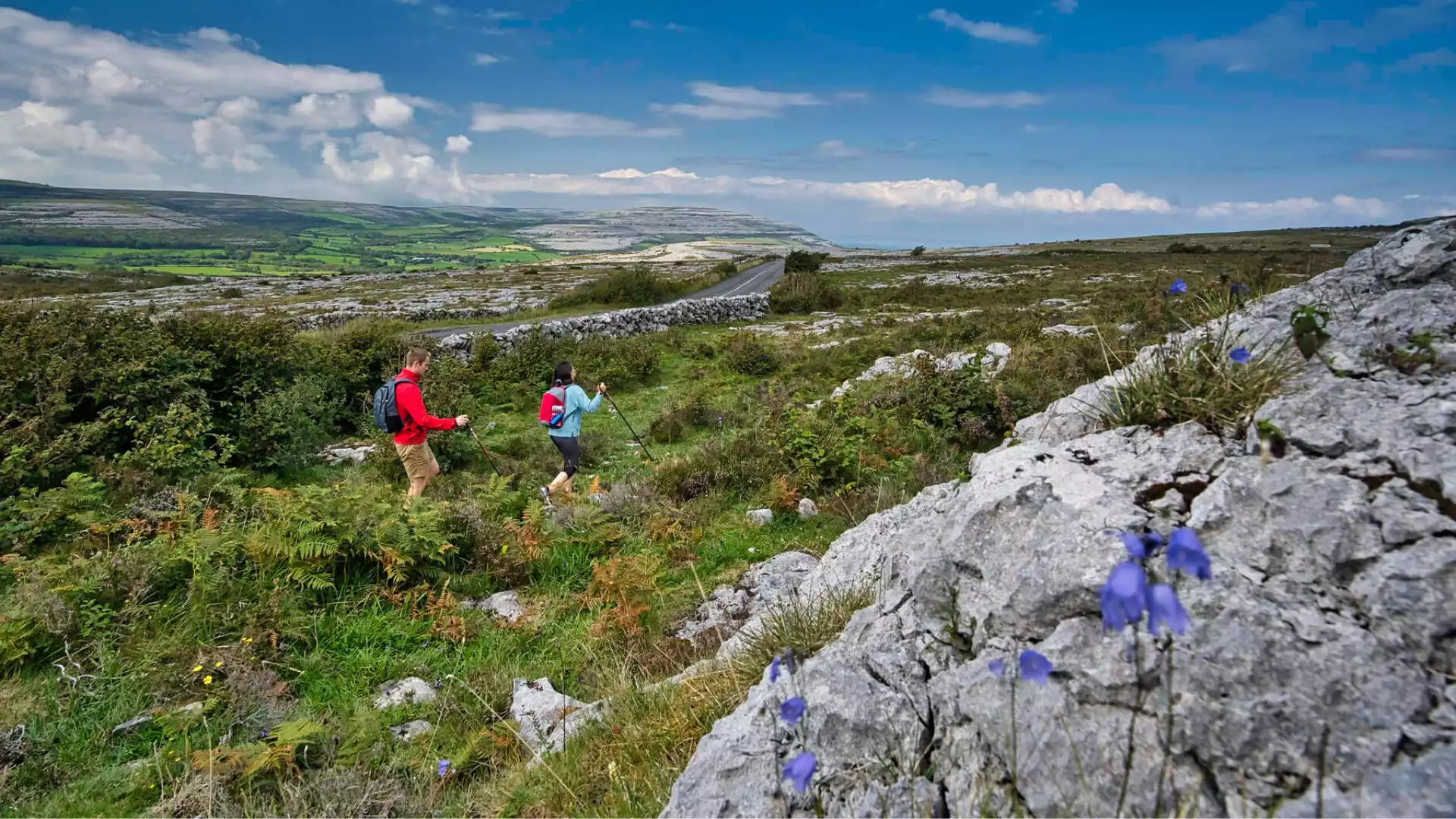 The Burren; het beroemde maanlandschap