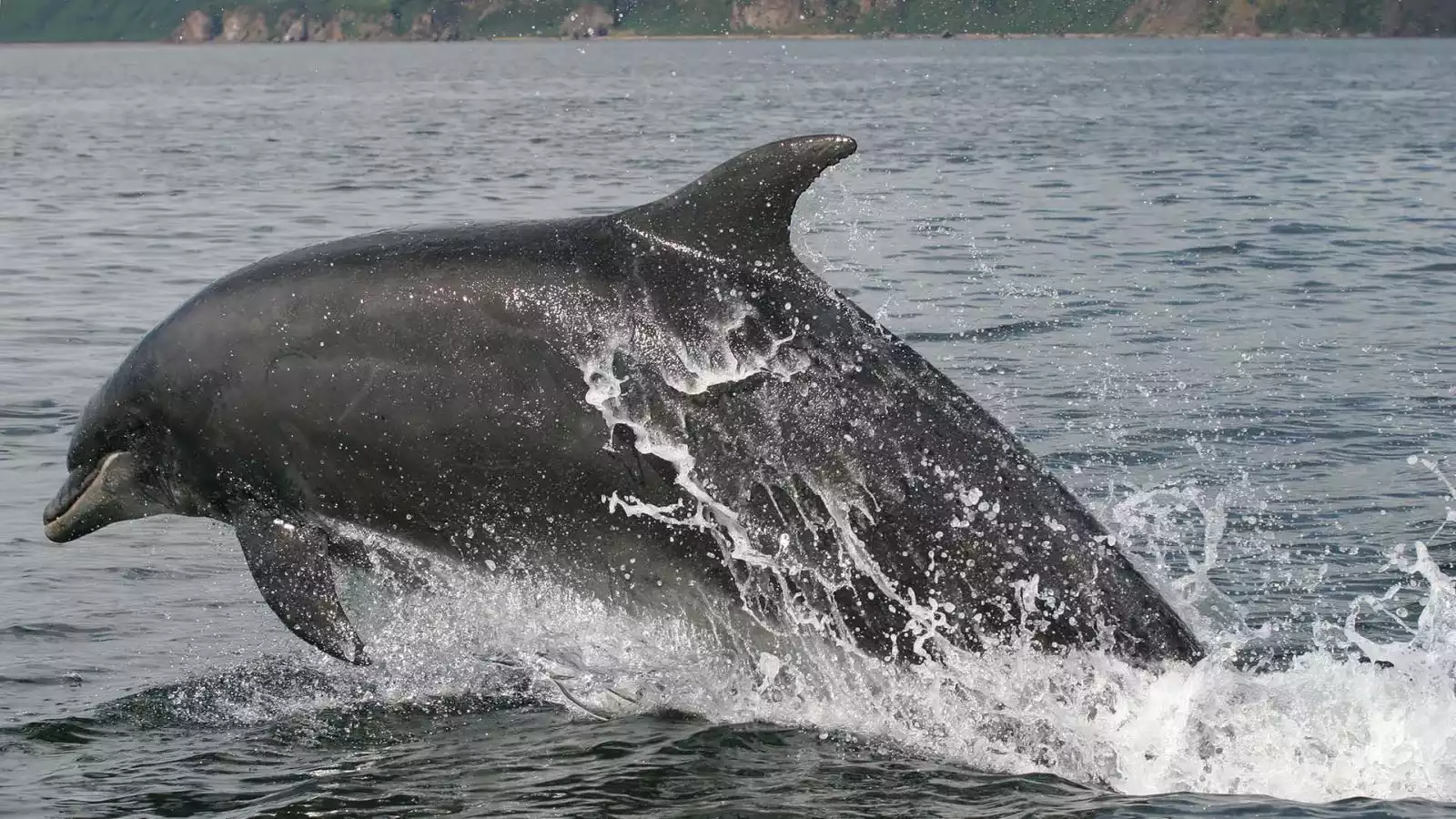 Uitwaaien in de zilte lucht van de kust