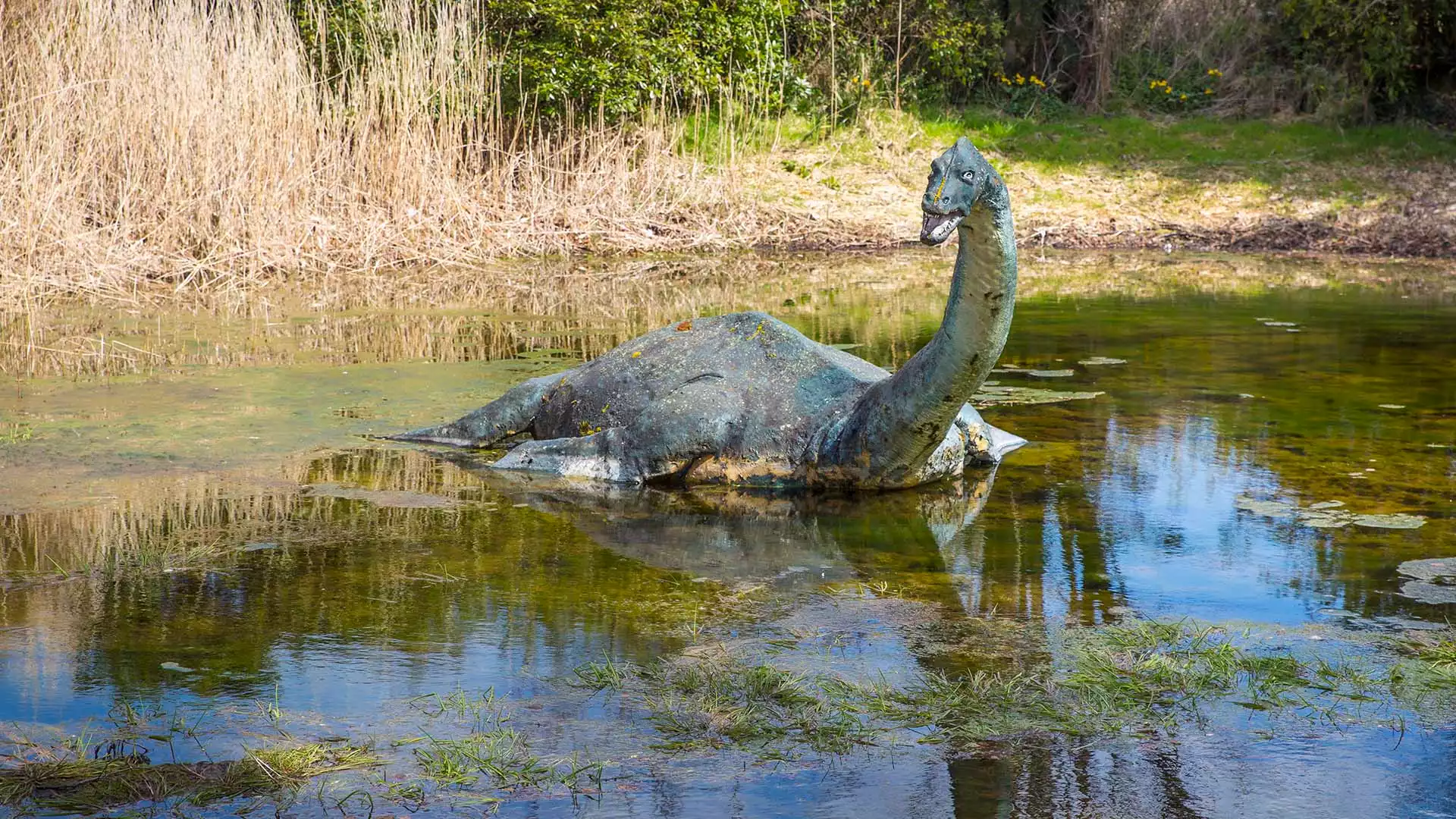 Op zoek naar het monster van Loch Ness