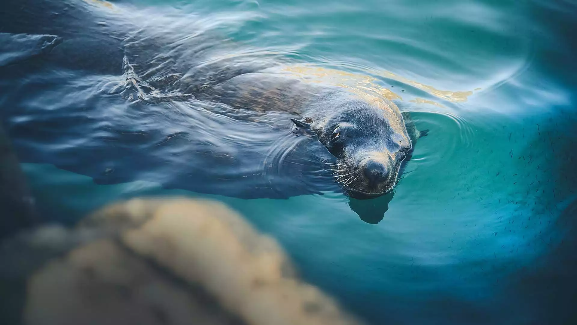 Uitwaaien in de zilte lucht van de kust