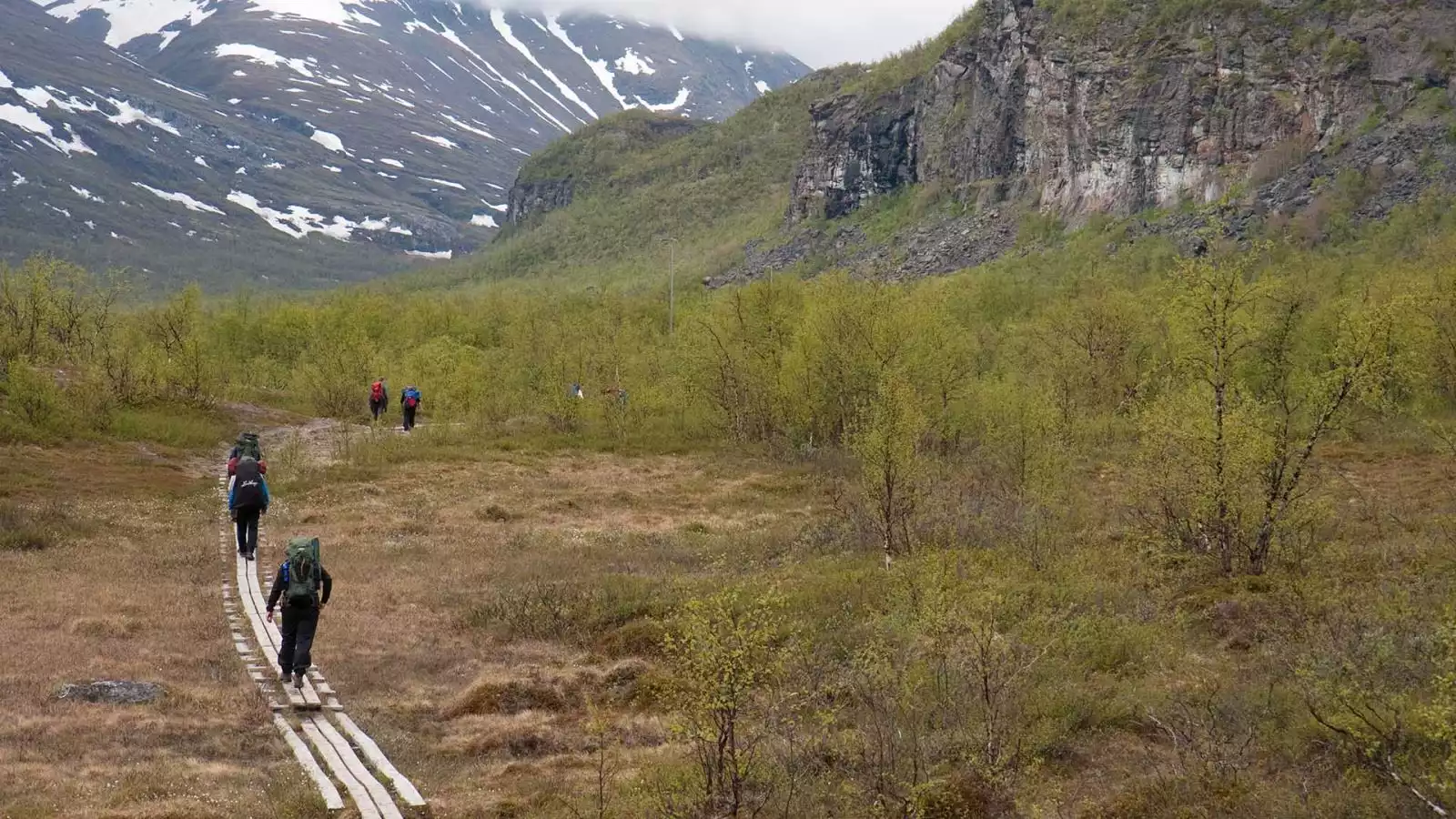 Abisko National Park