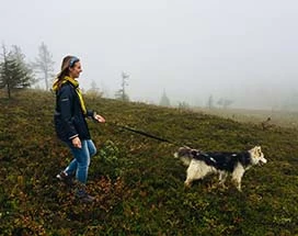 kuusamo-husky-hiken-zomer