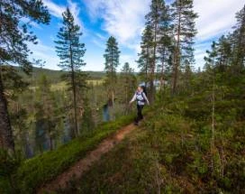 excursie-iso-syote-nordic-walking