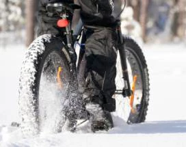 e-fatbike-safari-himos-excursie