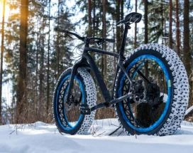 e-fatbikes-nuuksio-haltia