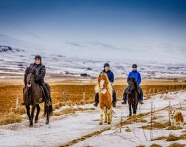 excursie-thumb-paardrijden-myvatn