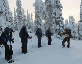 salla-sneeuwschoenwandelen-ijsvissen