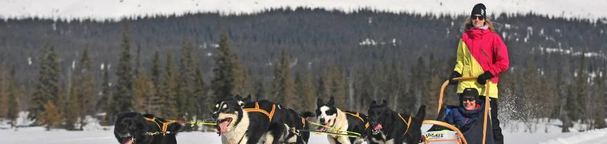 excursies-trysil-header