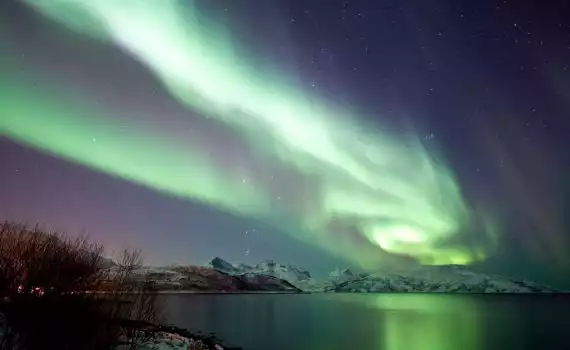 Noorderlichtreis Hurtigruten en Lapland