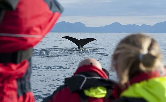 reizen lofoten