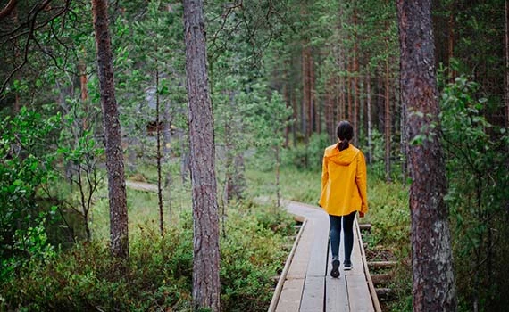 Finse meren en bossen met kinderen