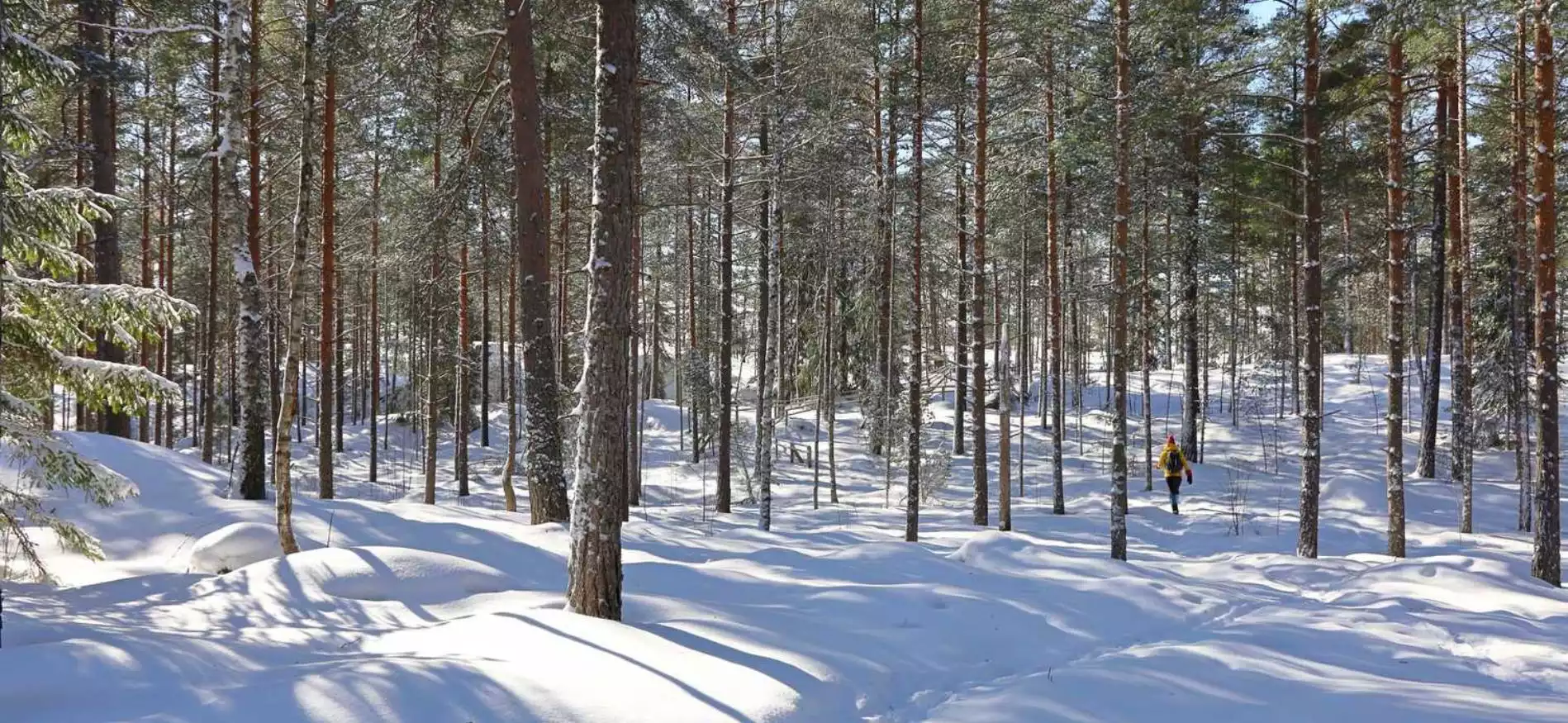 Nuuksio Nationaal Park & Helsinki