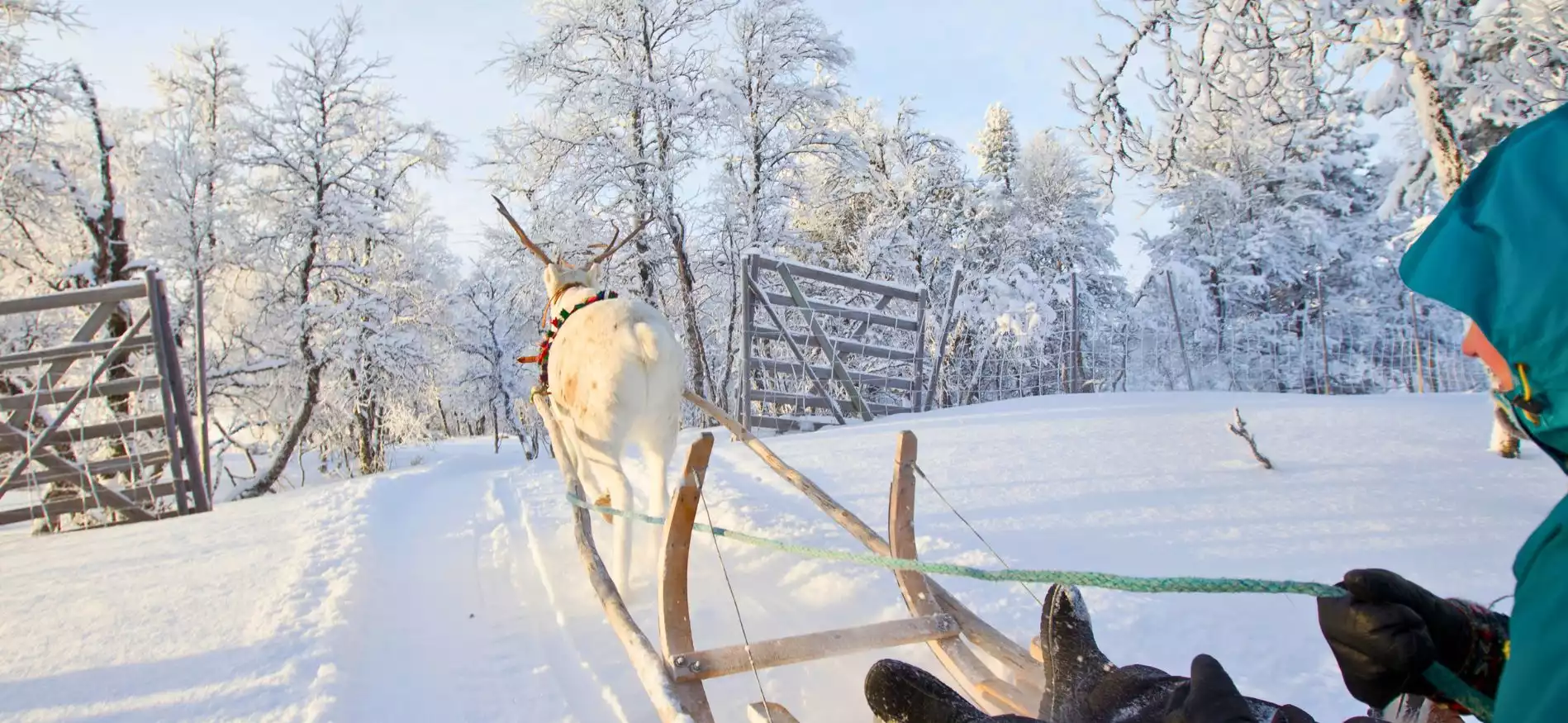 Betoverend Zweeds Lapland