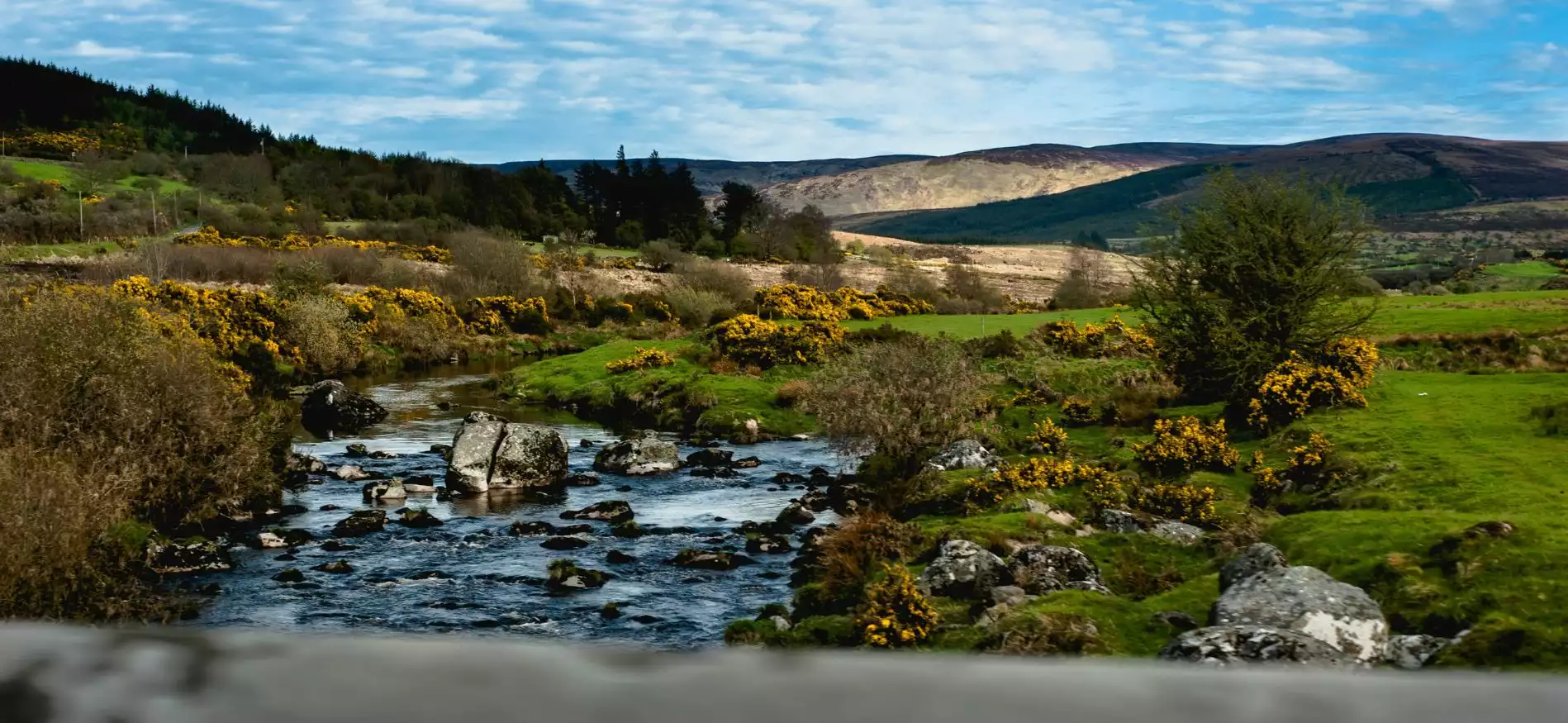 Midweek Dublin en Wicklow Mountains