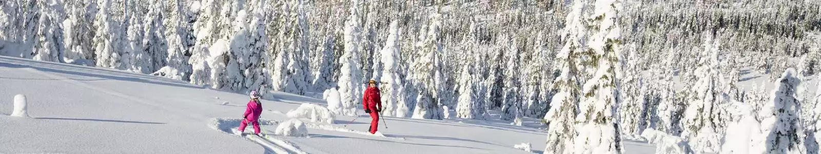 zweden-winter-vlucht-verblijf-header