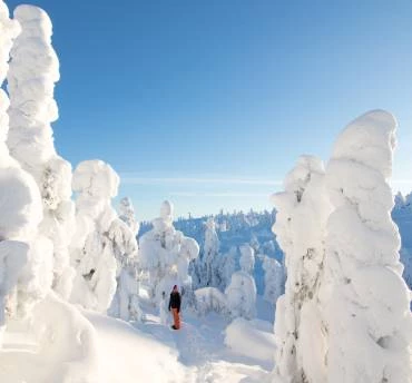 beste reistijd lapland