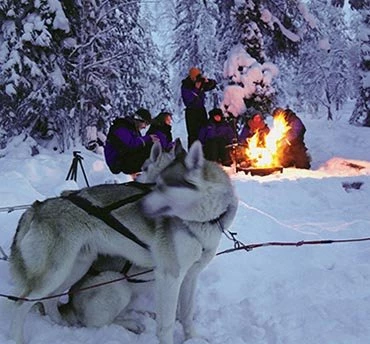 zweeds lapland vakantie