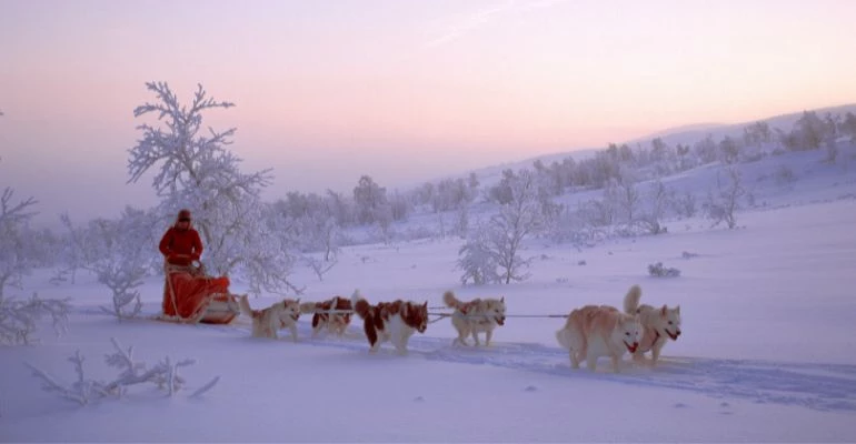 Husky safari noorwegen