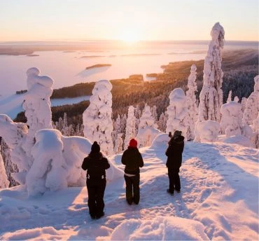 Koli winter