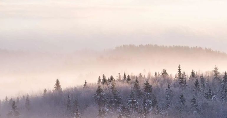 nuuksio nationaal park