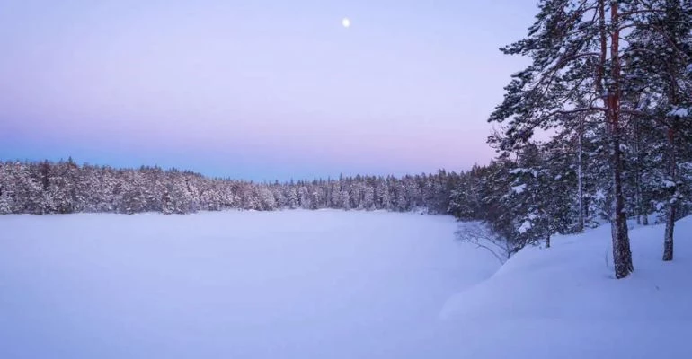 nuuksio nationaal park