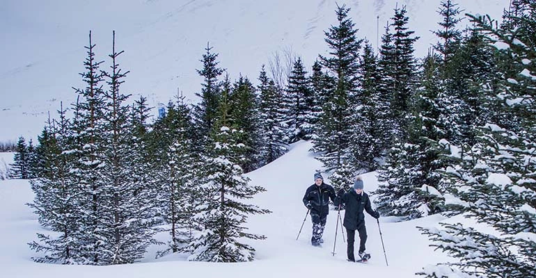 Sneeuwschoenwandelen in Akureyri in de winter