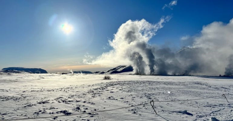 soorten walvissen IJsland