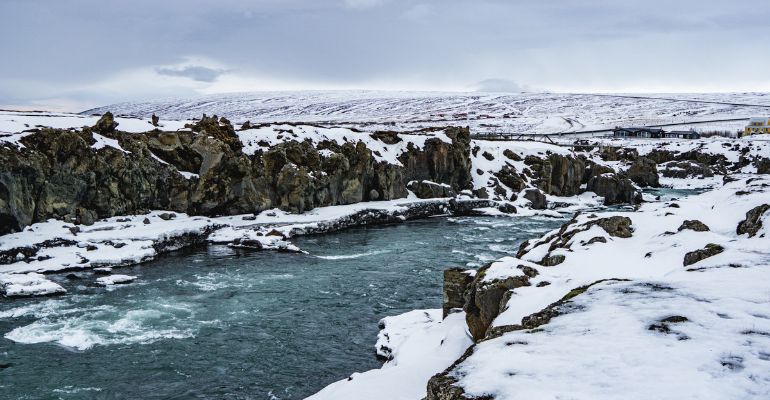 hoe spot je walvissen in ijsland