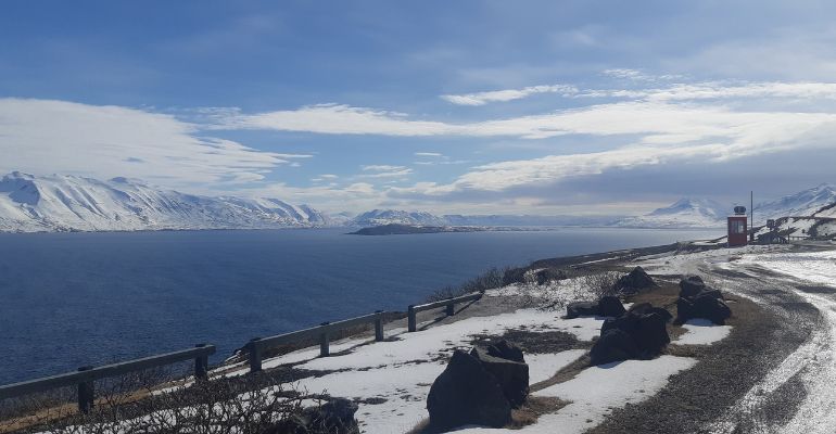 hoe spot je walvissen in ijsland