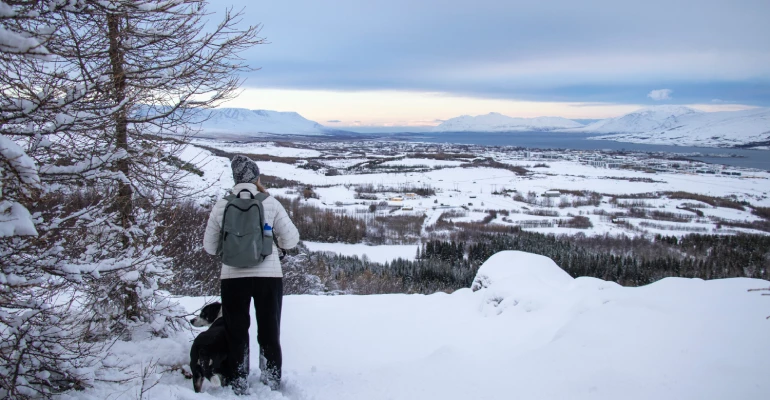 akureyri korte trip in IJsland